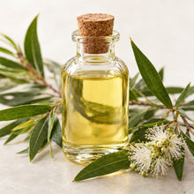 Aceite de árbol de té
